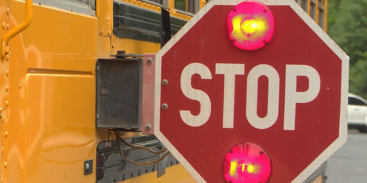 Disable Yellow Bus Yellow bus, red lights: Drivers reminded to stop for school buses