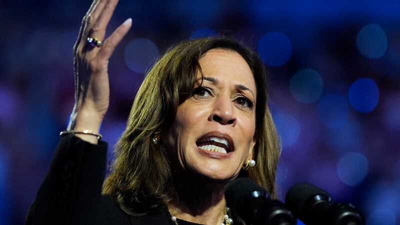 Democratic presidential nominee Vice President Kamala Harris speaks during a campaign rally at...