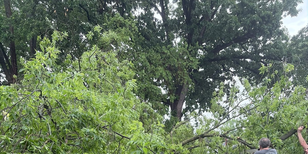 Oshkosh cleans up after severe storms bring 90 mph winds