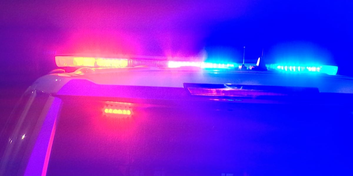 Two teens die after vehicle hits tree in Marinette County