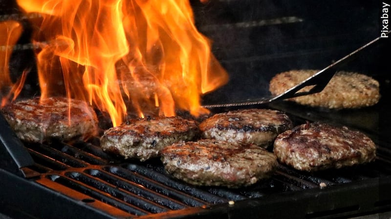 Burgers on the grill