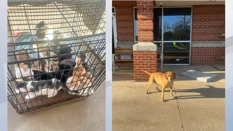 "Earlier this week, one of our employees came into work at 7am to find a crate with two adult...