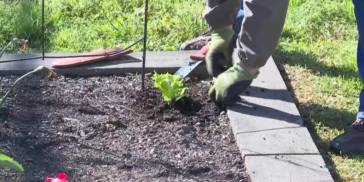 6 surprising health benefits of gardening