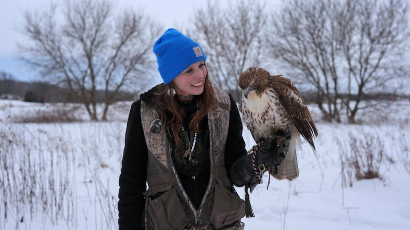 Impact of Climate Change on Falconry in Wisconsin: A Cry for Conservation