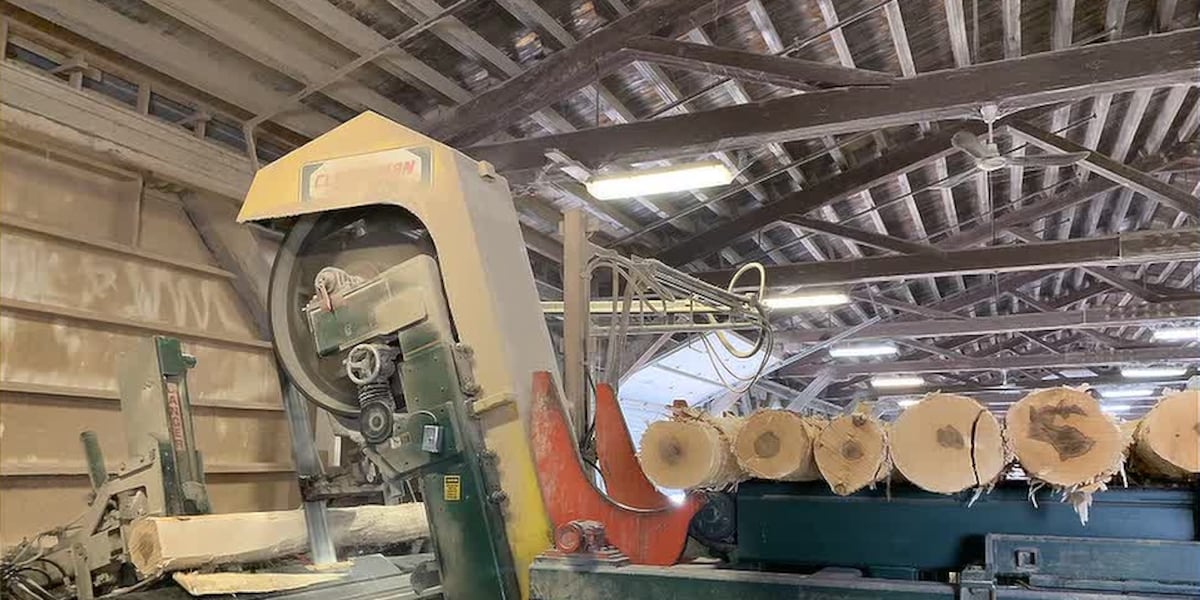 Pinpoint Highlights National Forest Products Week highlights Wisconsin’s forestry industry ...