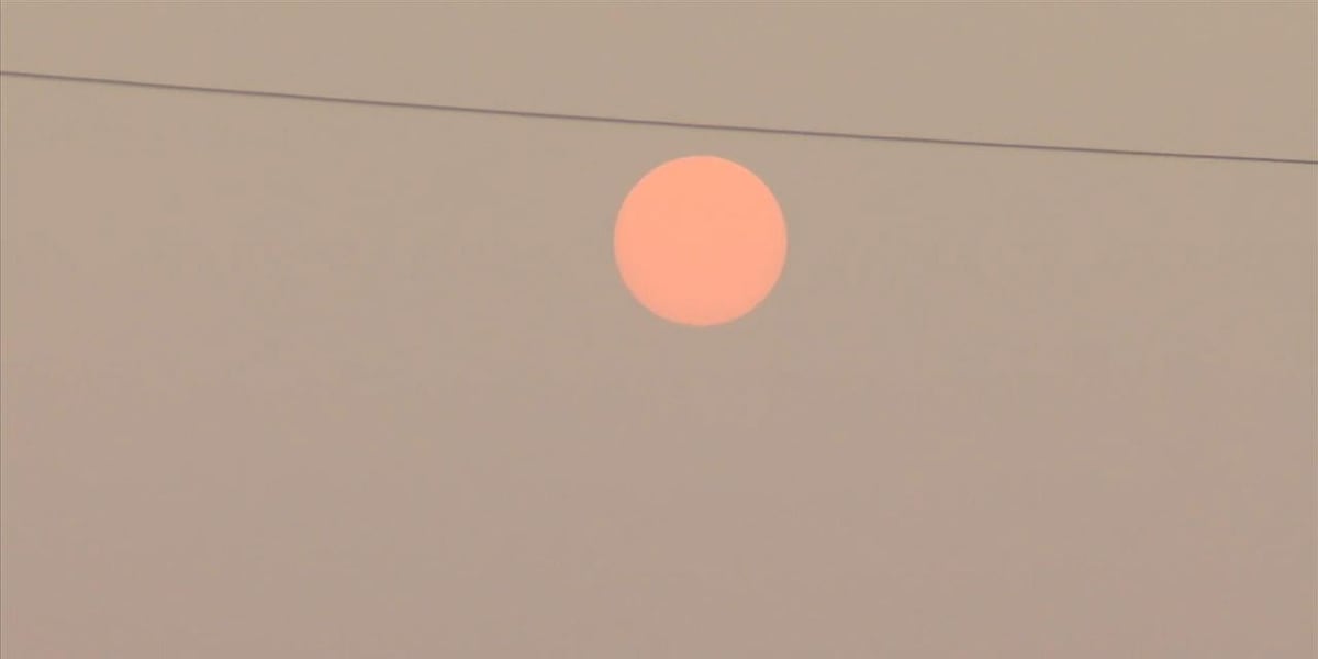 Canadian wildfire smoke prompts air quality advisory, health reminders for families and pets