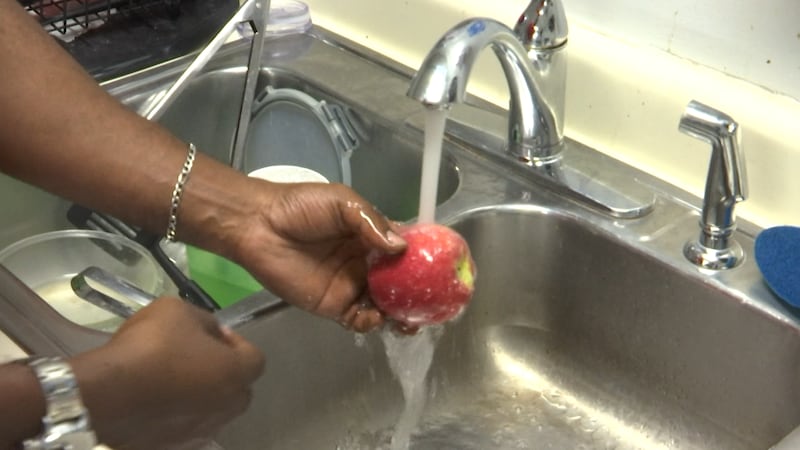 State health officials are investigating an outbreak of cyclosporiasis, an intestinal parasite...