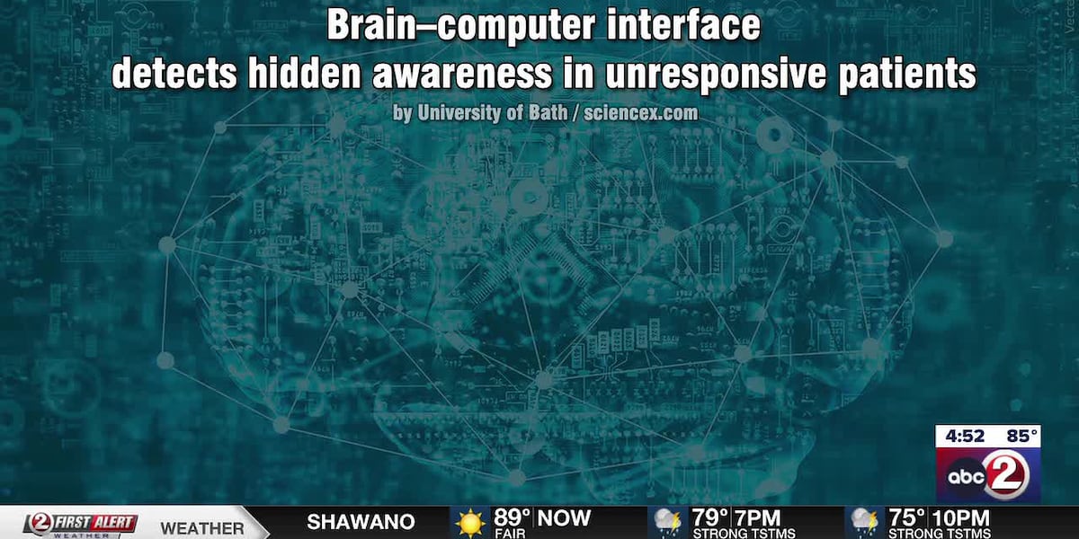 New research on brain-computer interface