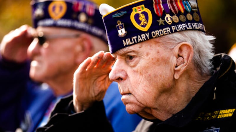 Veteran Robert Fulmer salutes during Veterans Day ceremony (AP Photo/Matt Rourke)