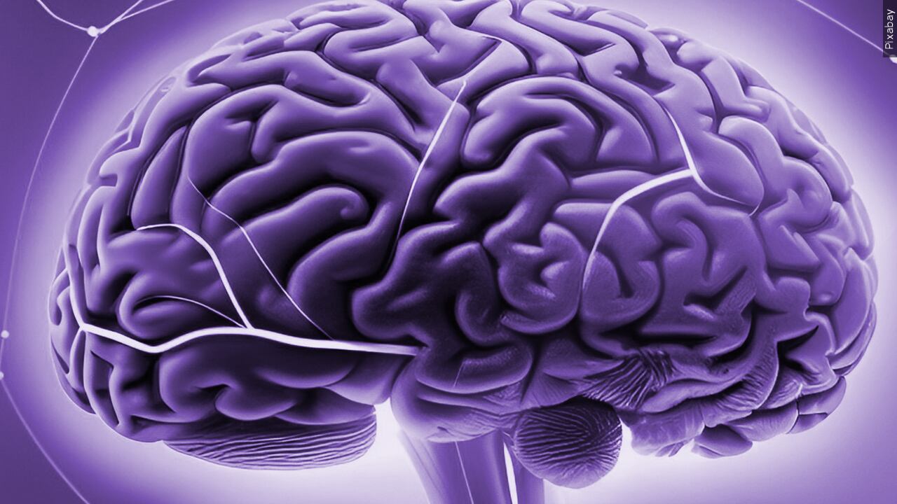 活體CTE診斷革命：神經影像突破重塑腦創傷醫療與千億賠償版圖