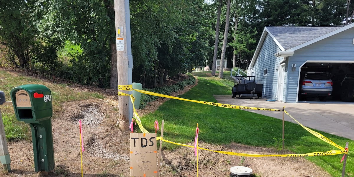 Homeowner waits months for repairs after TDS damages lawn