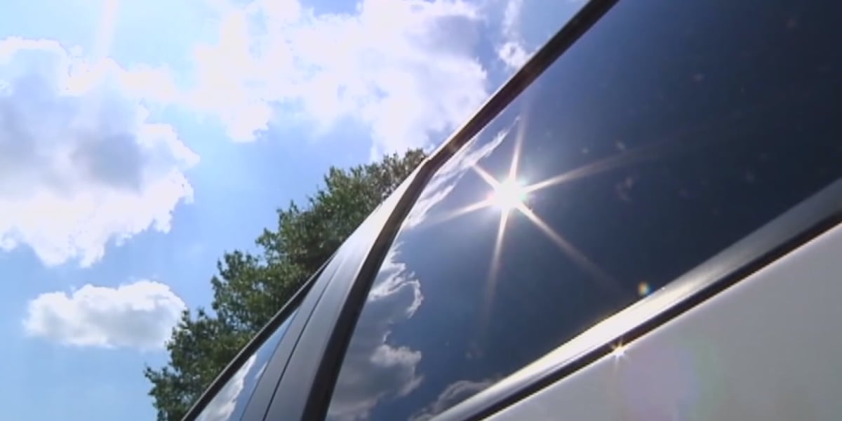 Hot car dangers: What not to leave in your vehicle