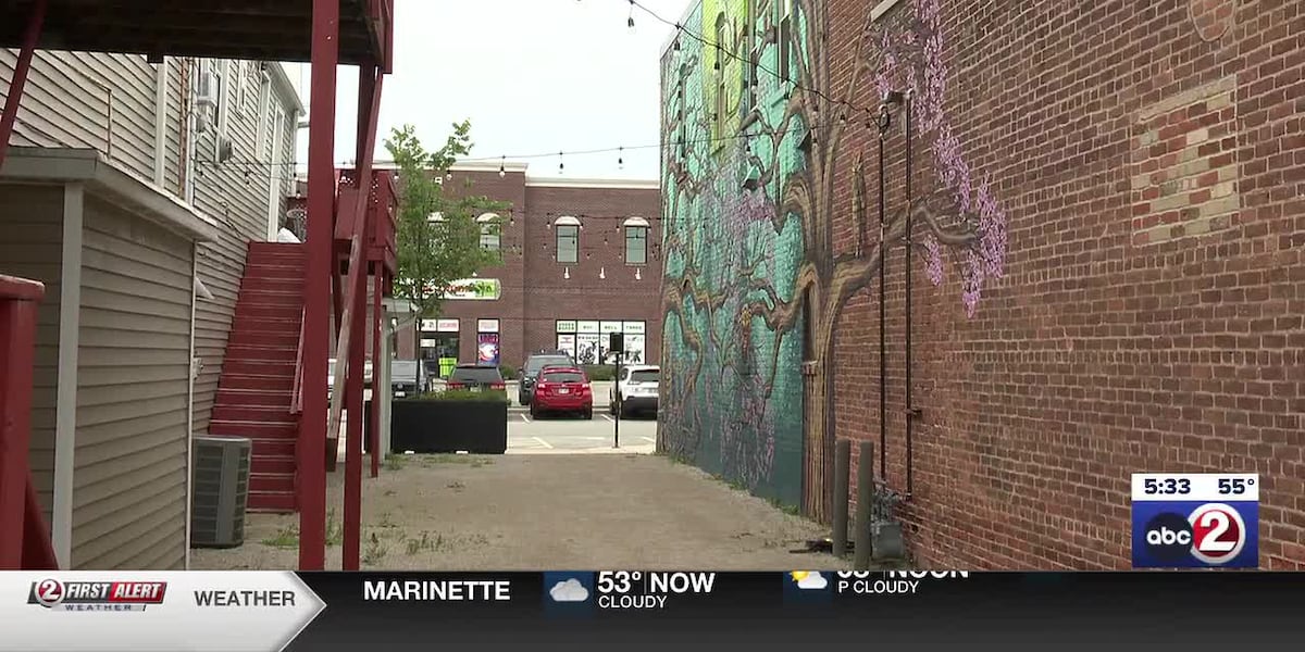 Alley Night Market coming to downtown De Pere