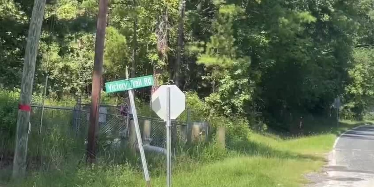 31 year old Man Driving Lawn Mower Killed After Being Hit By 2 Vehicles 31-year-old-man-driving-lawn-mower-killed-after-being-hit-by-2-vehicles