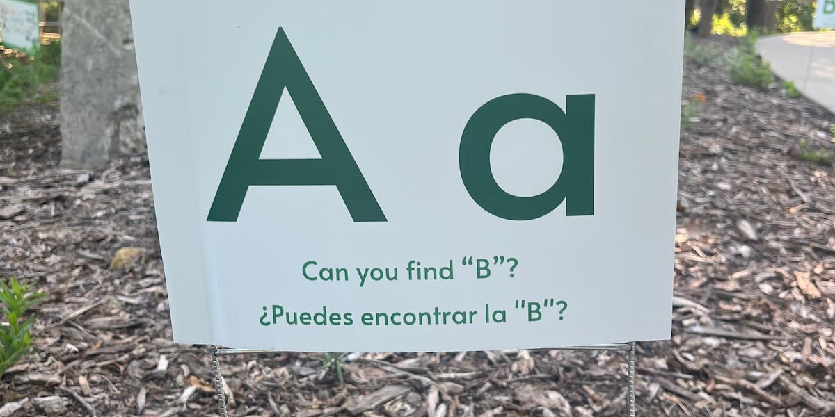 Brown County launches bilingual scavenger hunt for young learners