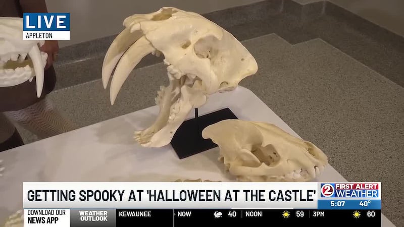Museum at the Castle displays creepy and spooky items from its collection