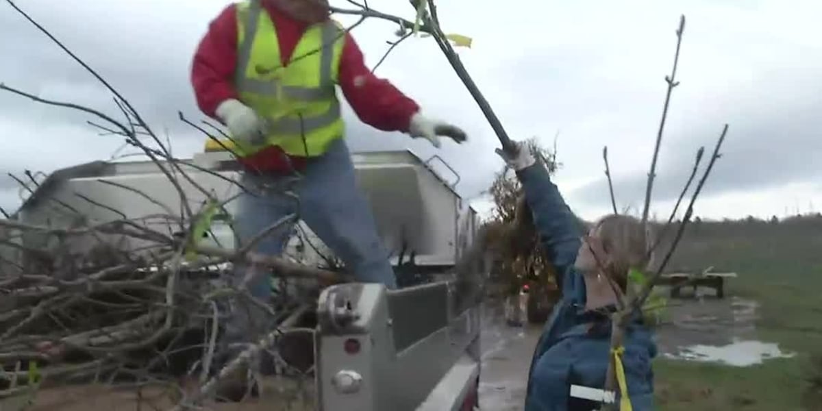 Tree Packer Packers donate trees to Brown County communities