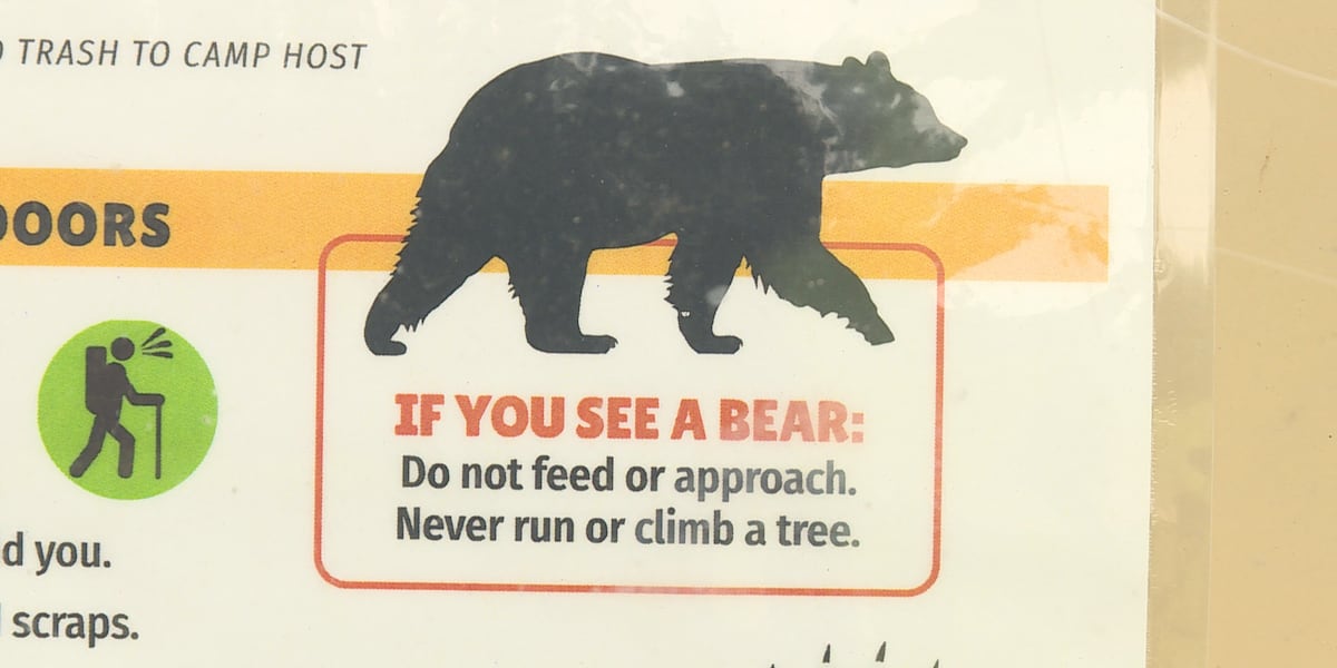 DNR warns of black bear sightings farther south as populations grow
