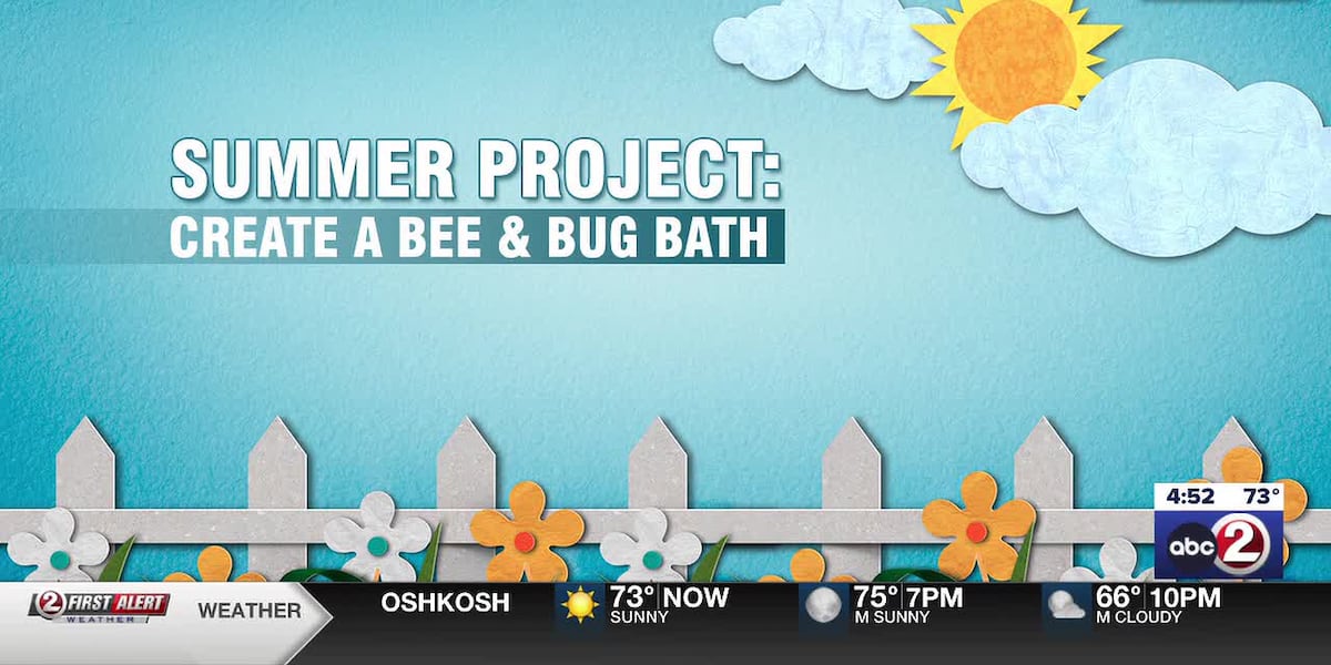 How to make a bee and bug bath for Pollinator Week