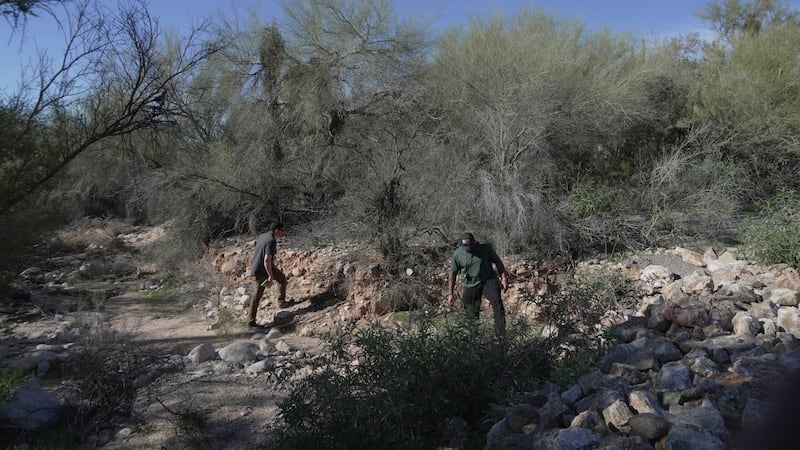 Law enforcement agents check vegetation areas around Nancy Guthrie’s home in Tucson, Ariz.,...