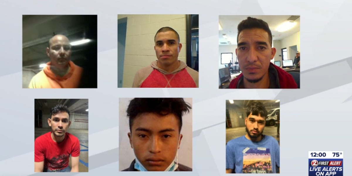 ICE identifies six of 24 arrested in Manitowoc County with suspected ties to drug and human trafficking