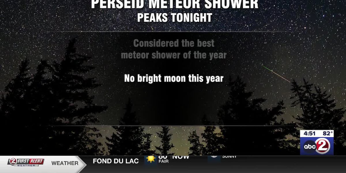 Everything you need to know about this year's Perseid Meteor Shower
