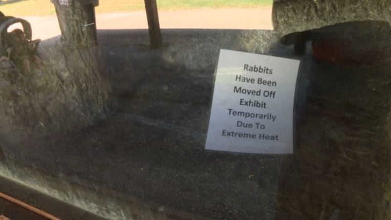 Hot petting zoo exhibit
