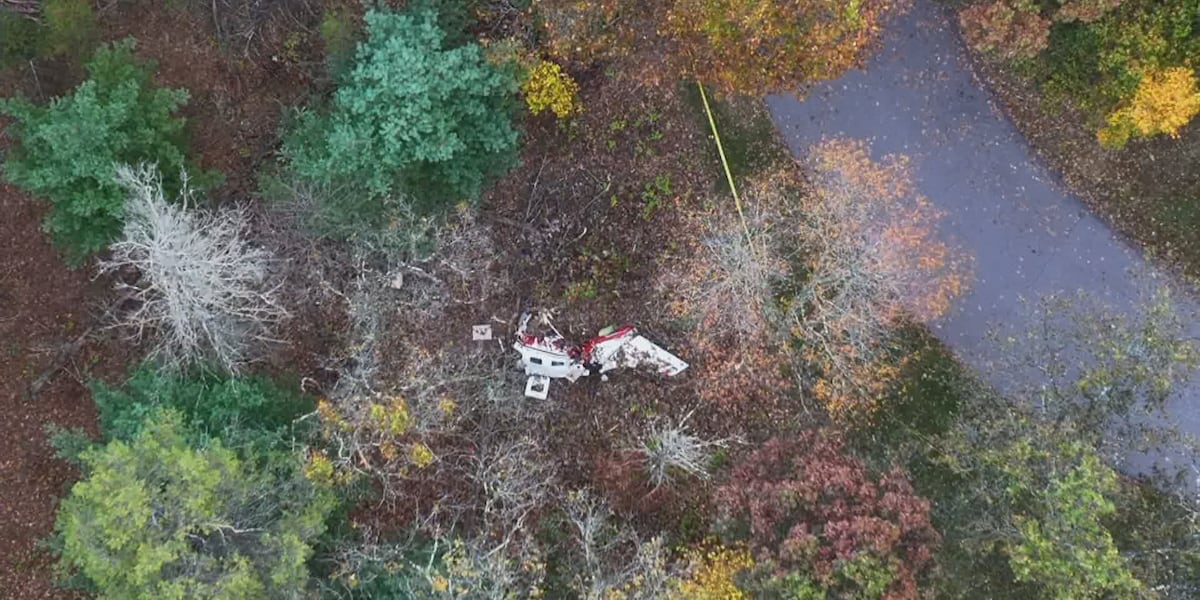 Six killed in plane crash near Dellona, Sauk