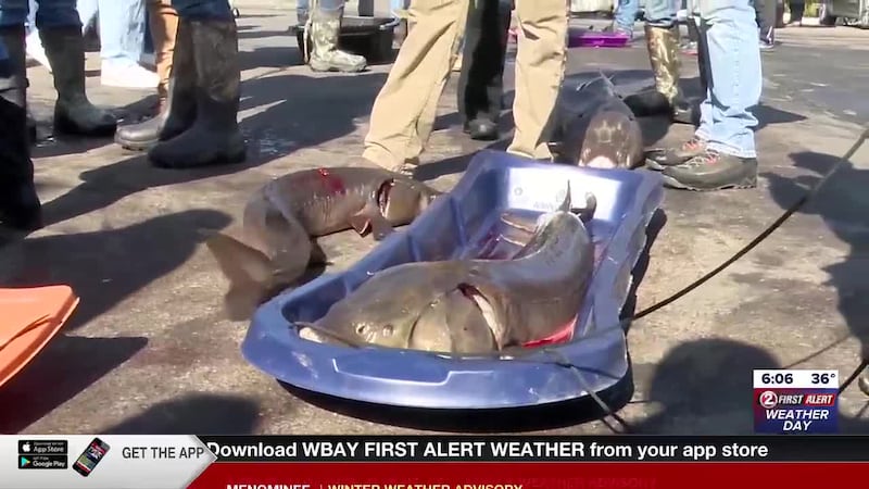 Lake Winnebago sturgeon season