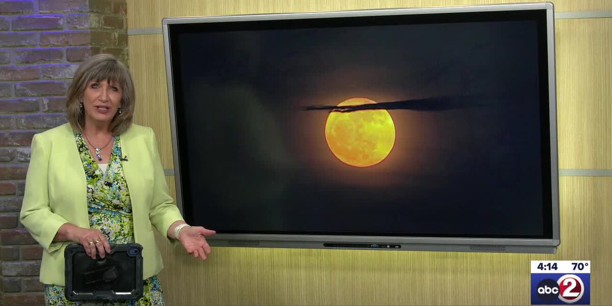 Witnessing the Beauty of the Strawberry Moon